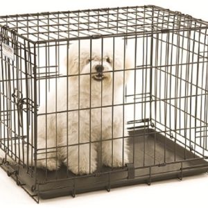 כלוב אילוף לכלבים