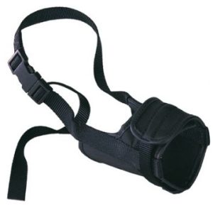 מחסום ניילון לכלב