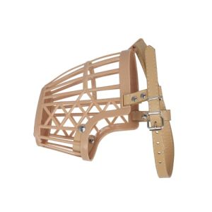 מחסום פלסטיק לכלב