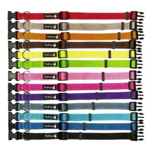 קולר בד לכלב